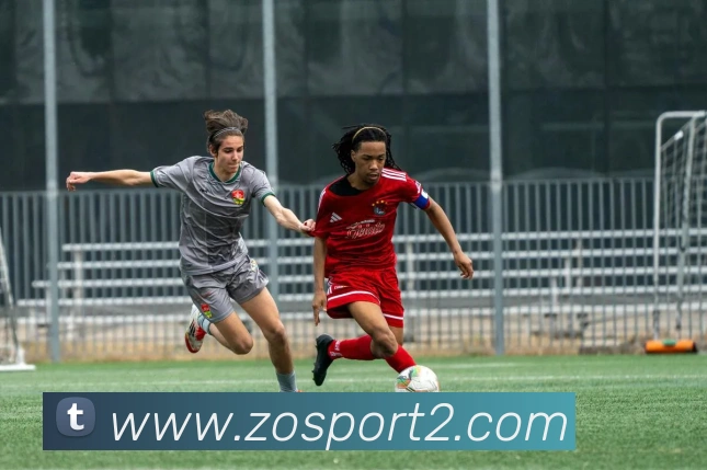 中欧足球官网平台生态图