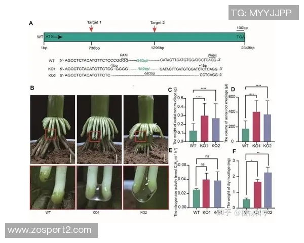 奥特分析布克在进攻中的关键作用及其引领团队的能力